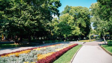Photo of Цар Симеоновата градина в Пловдив – оазис за отмора