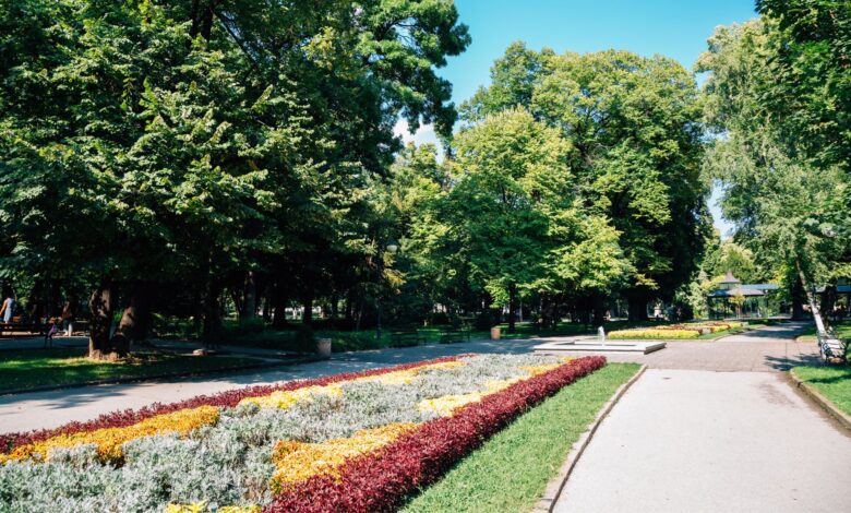 Цар Симеонова градина Пловдив